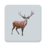 decoy for hoofed animals android application logo